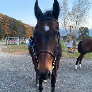 Meet your Posher, Natalie